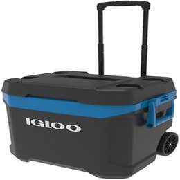 Igloo - 62 qt